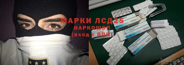 сатива Балахна