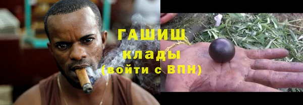 сатива Балахна