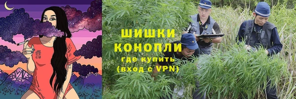 сатива Балахна