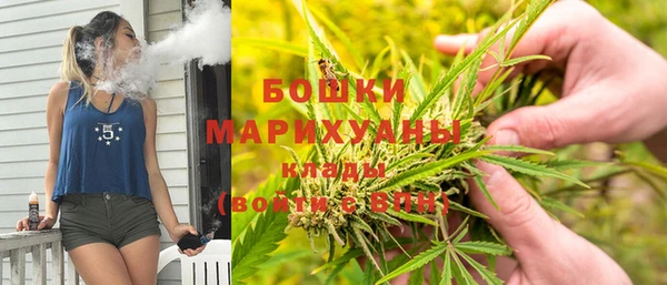 сатива Балахна