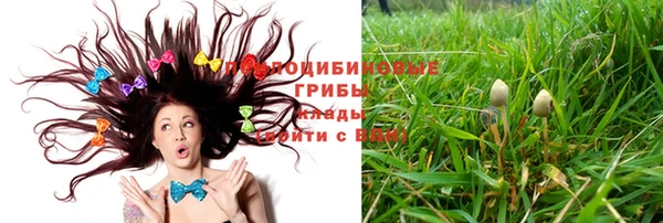 spice Балабаново