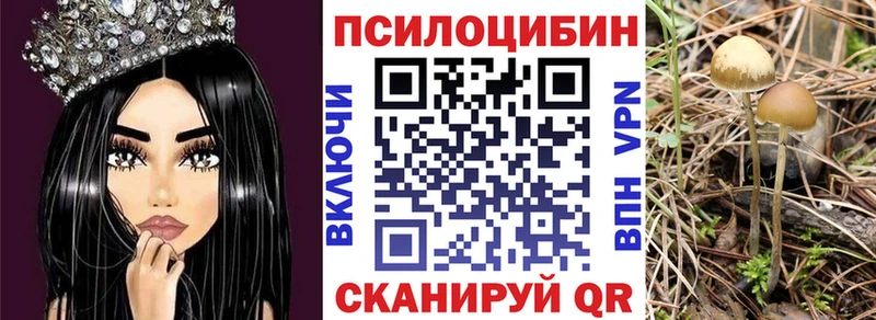 площадка как зайти  как найти наркотики  Верхняя Тура  Псилоцибиновые грибы Psilocybe 